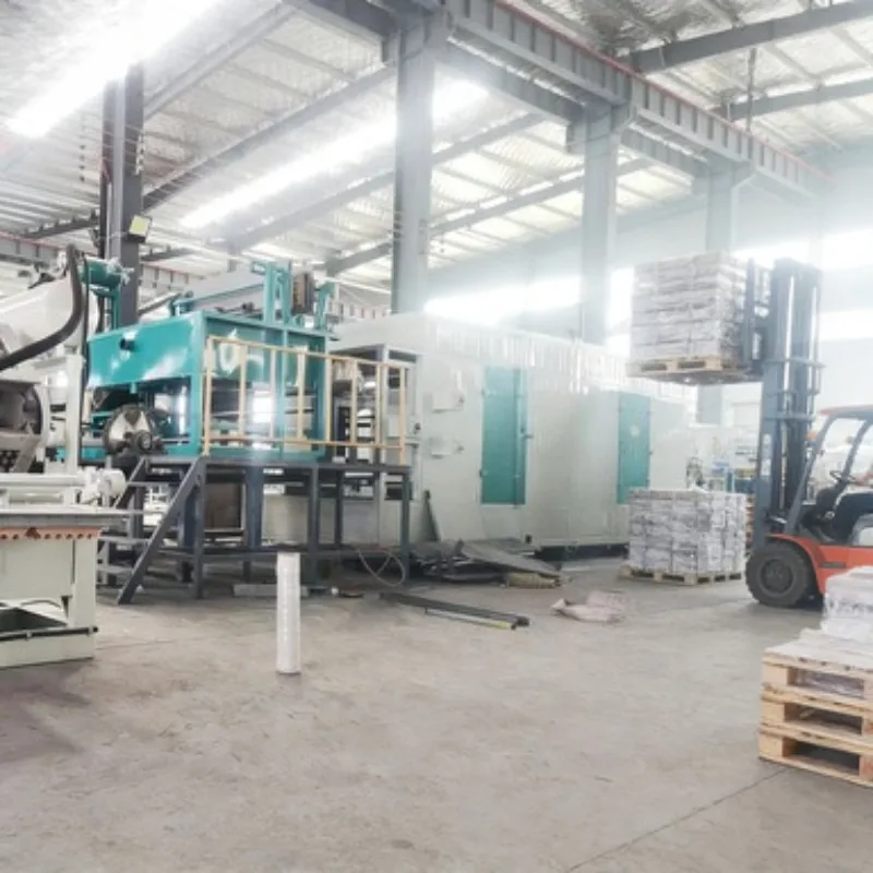 Paper Waste Recycling Egg Tray Making Machine Pulp Molding Equipment Production Line 1500pcs/h for Small Workshop