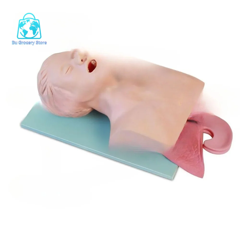 Adult Airway Management Trainer Tracheal Train Simulator Model 220V 110V Oral Nasal Intubation Manikin Teach