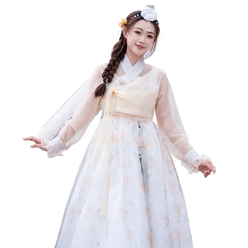 Women Korean Traditional Hanbok Sheer Blouse Floral Tulle Skirt Elegant Palace Princess Costume For Wedding Photoshoot Folk Danc