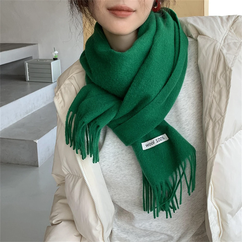 Solid Colour Cashmere Scarf Women Winter Warm Shawl Men Outdoor Pashmina Long Tassel Scarf Foulard Thick Blanket Ski Accessories