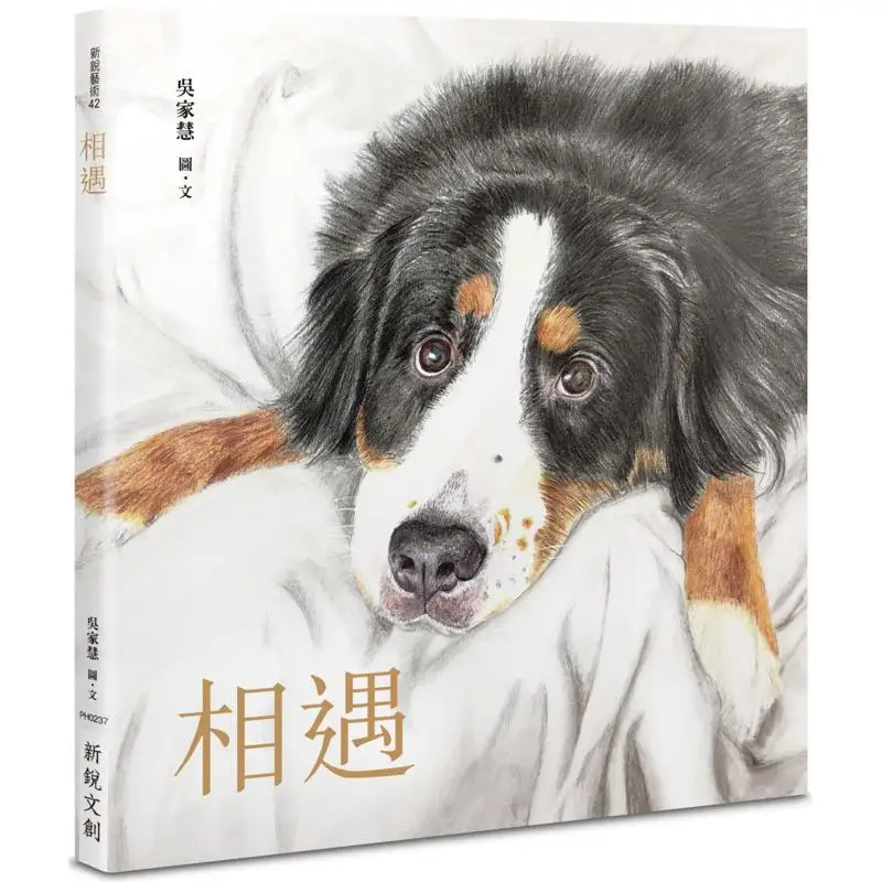 Meet Wu Jiahui Emerging Cultural And Creative Products 9789865540210 Book