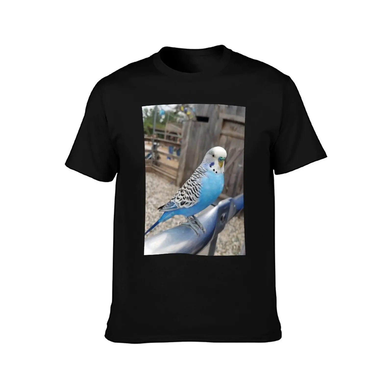 Blue & White Parakeet Sitting T-Shirt Holiday Outdoor T-Shirt