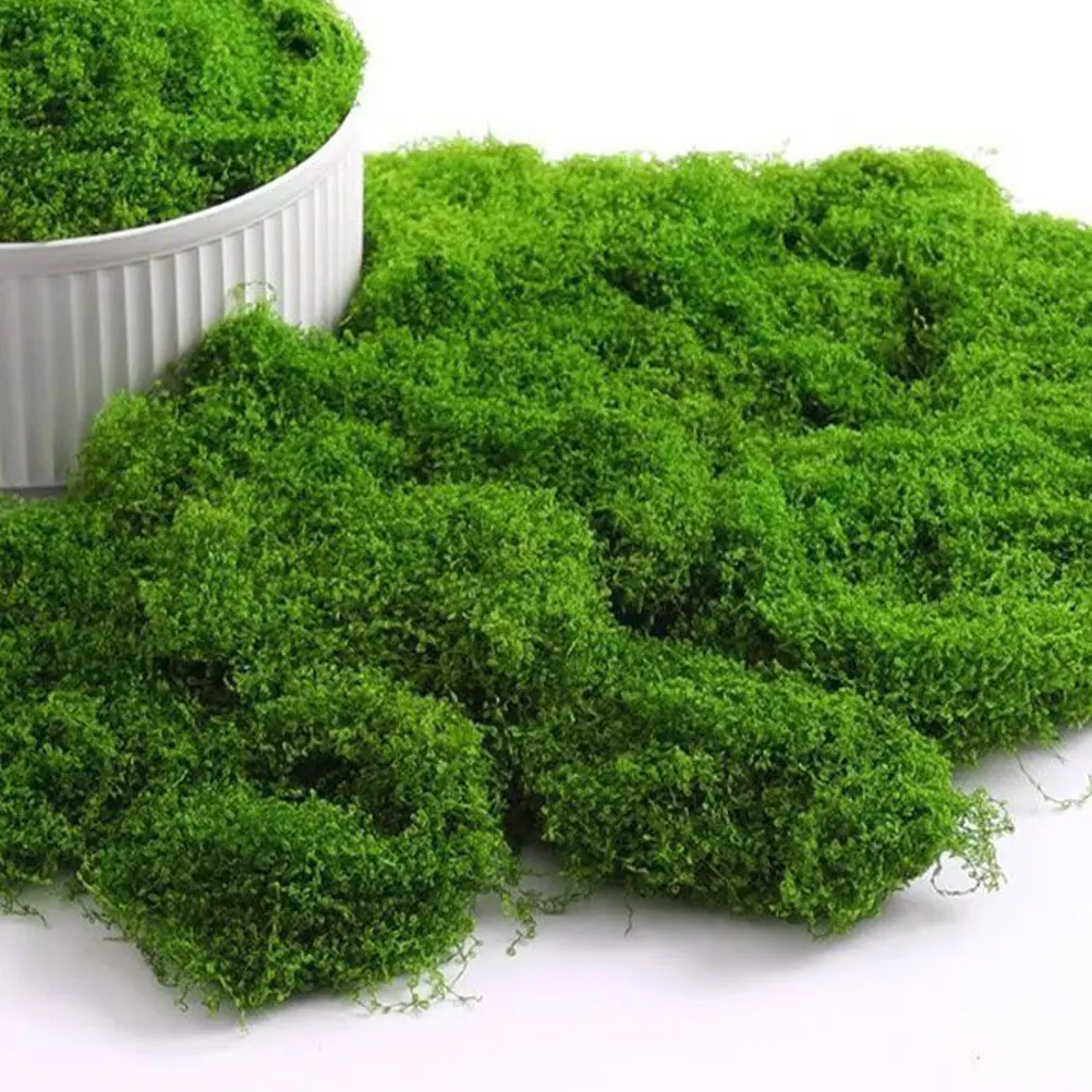 

1 Bag Realistic Artificial Filamentous For Indoor Plants Faux Moss For Crafts Diy Micro Landscapes Planter Filler Decorative