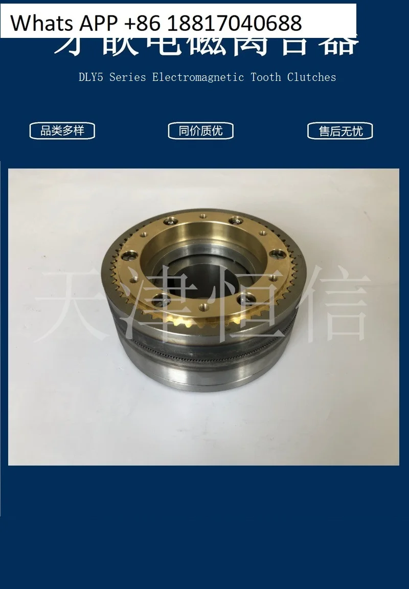 Frizione elettromagnetica a denti serie DLY5 (contatta il servizio clienti per più dimensioni)