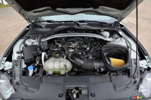 

2PCS Hood Dampers For 2021 2022 2023-2024 Ford Mustang Mach 1 Front Bonnet Modify Gas Struts Lift Support Shock Absorber Piston