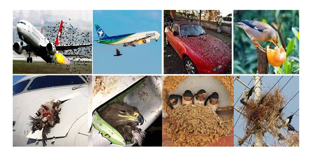2025 Newest Electrical Solid Anti Bird Pigeon Laser Bird Repellent Waterproof Eco-Friendly Wide Use Humane Pest Control