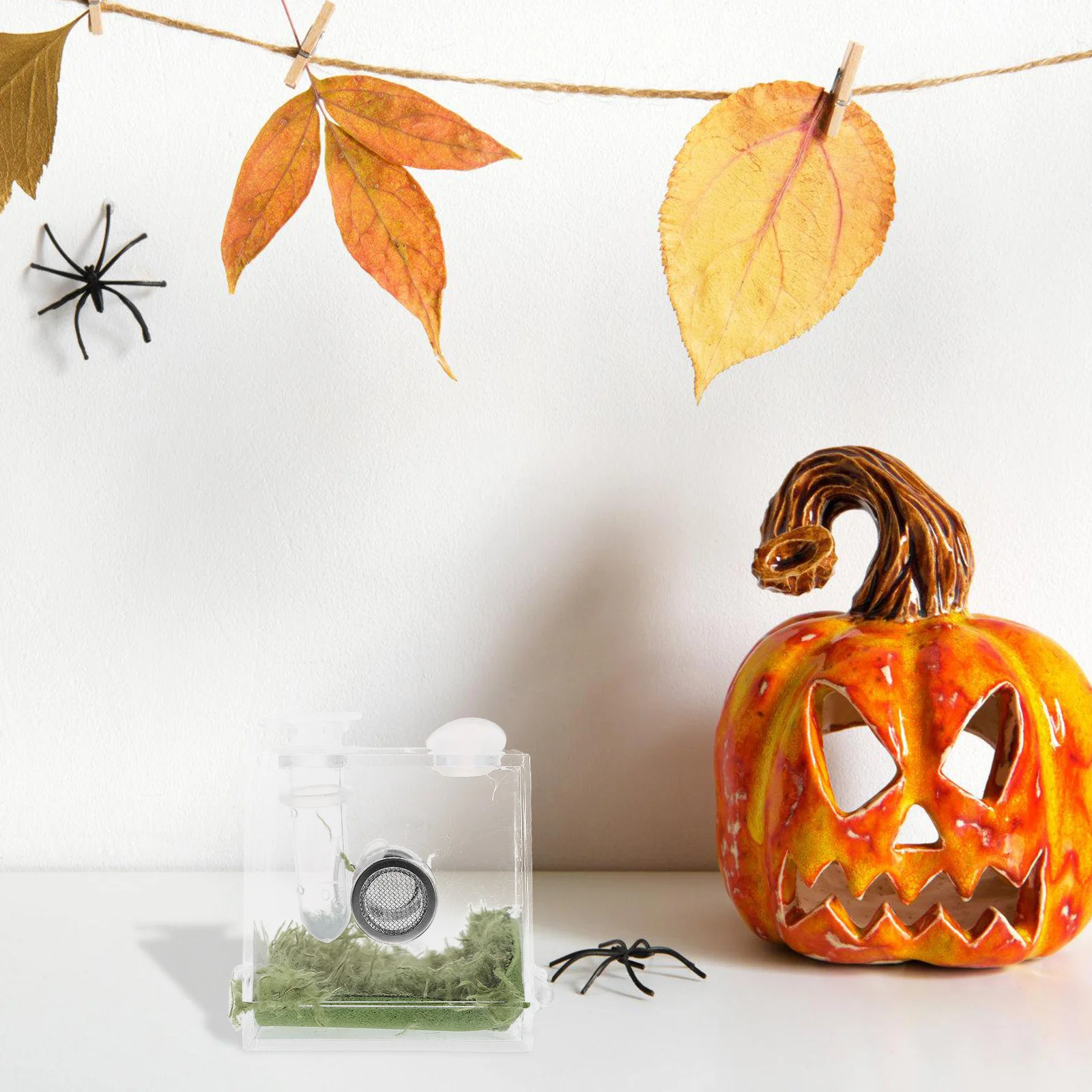 

2Sets Jumping Spider Breeding Box Clear Acrylic Spider Habitat Container Insects Feeding Box Insects Feeding Case