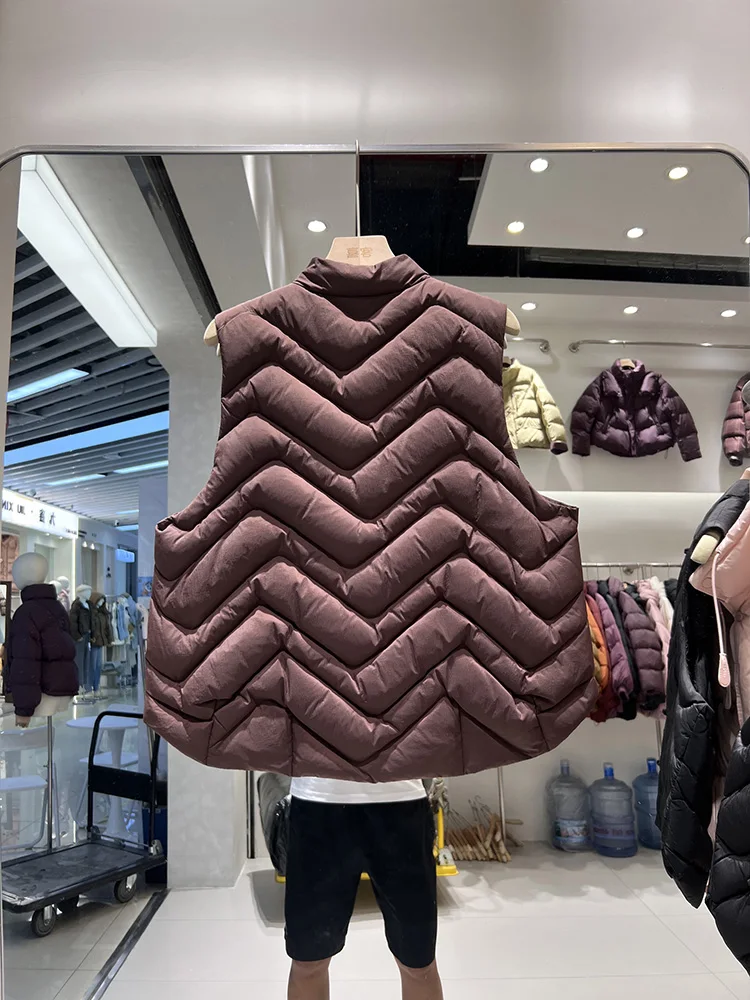 2025 winter new dish button rib design sense down jacket women's short style versatile stand collar white duck down vest