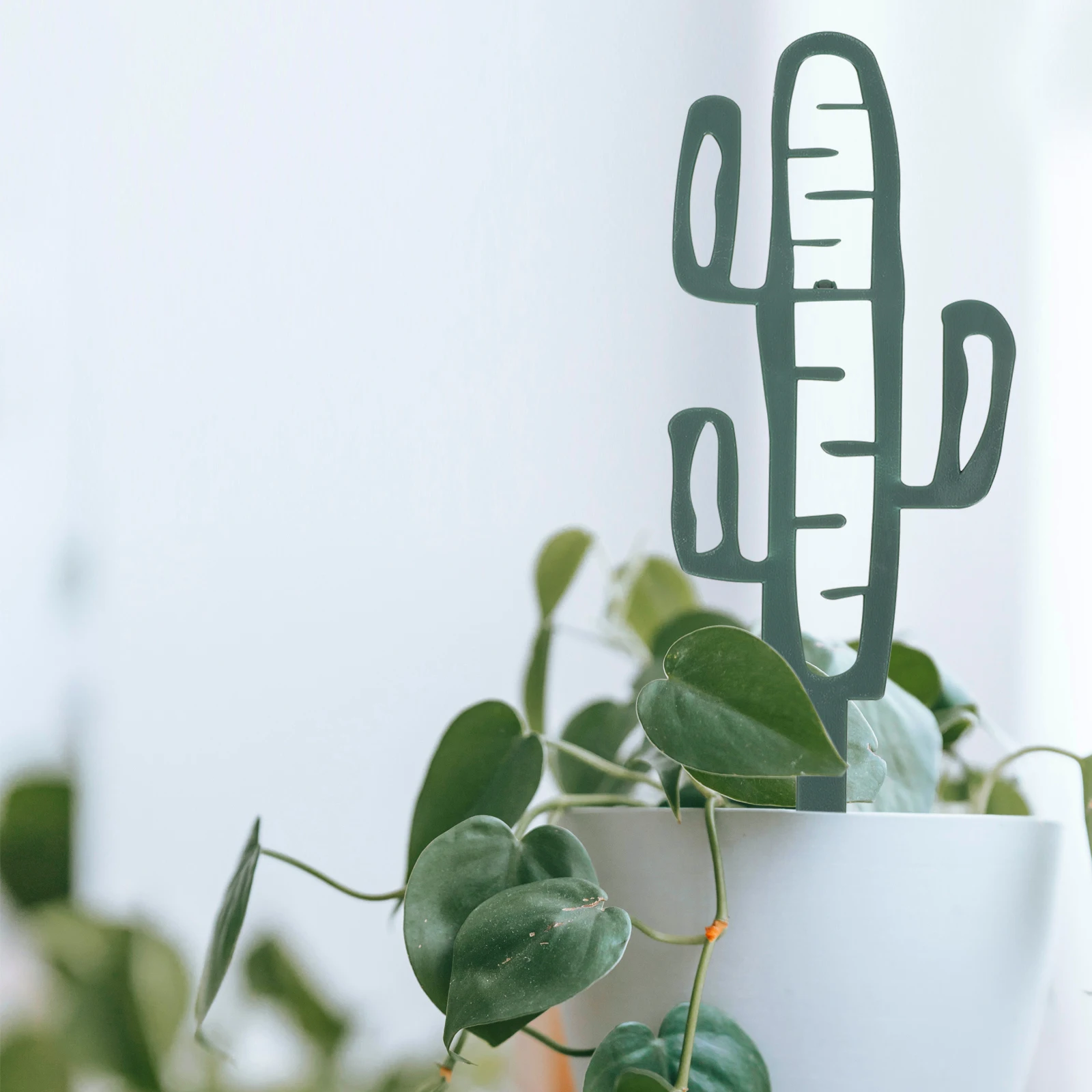 

5 Pcs Stands Climbing Vine Zipper Trellis for Indoor Potted Plants Outdoor Rack