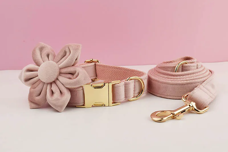 Hellrosa Samt-Hundehalsband und Leinen-Set für Hunde, individuell graviertes Namensschild, Haustierbedarf, Hundeleine, Velvet36 – Detail 5