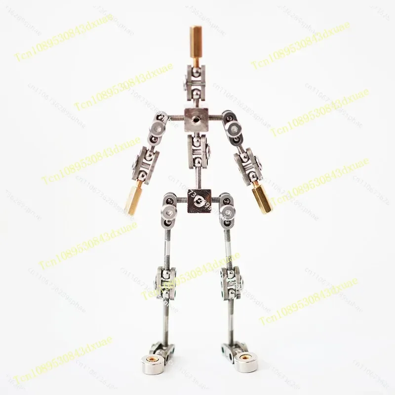 Full metal frozen frame animation character skeleton stainless steel skeleton