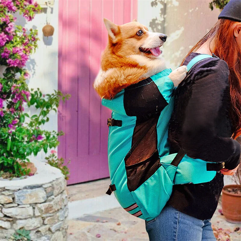 Imagem -06 - Mochila Pet Respirável Reflexiva Bolsa de Cachorro para Cães Grandes Bolsa de Viagem Ajustável Caminhadas ao ar Livre Corgi Bulldog