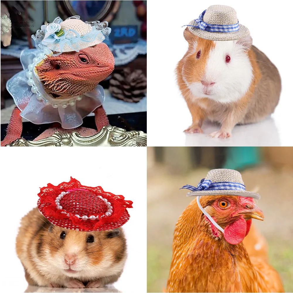PARKER Miniature pet hats chickens ducks geese birds lizard, golden bears hamsters funny performance props multi-color optional