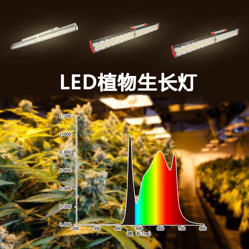 Full spectrum LED grow light Greenhouse plant growth lamps illuminate the interior fill light