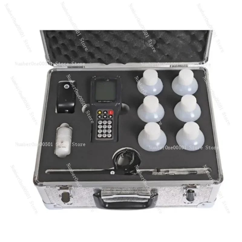 

NJCL-C NJCL-B Chloride Ion Content Tester Rapid Chlorine Detection Meter for Concrete Cement Water Analysis