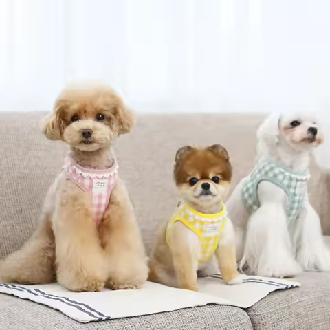 Dog Grid Traction Rope Vest Style Small and Medium-sized Dogs Walking Rope Adjustable Chest Strap Dogs Chain Dog Harness