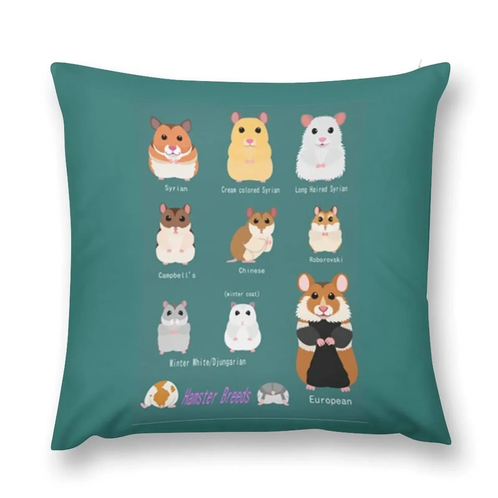 Hamster Breeds syrian hamster Throw Pillow Room decorating items Sofa Covers For Living Room pillow