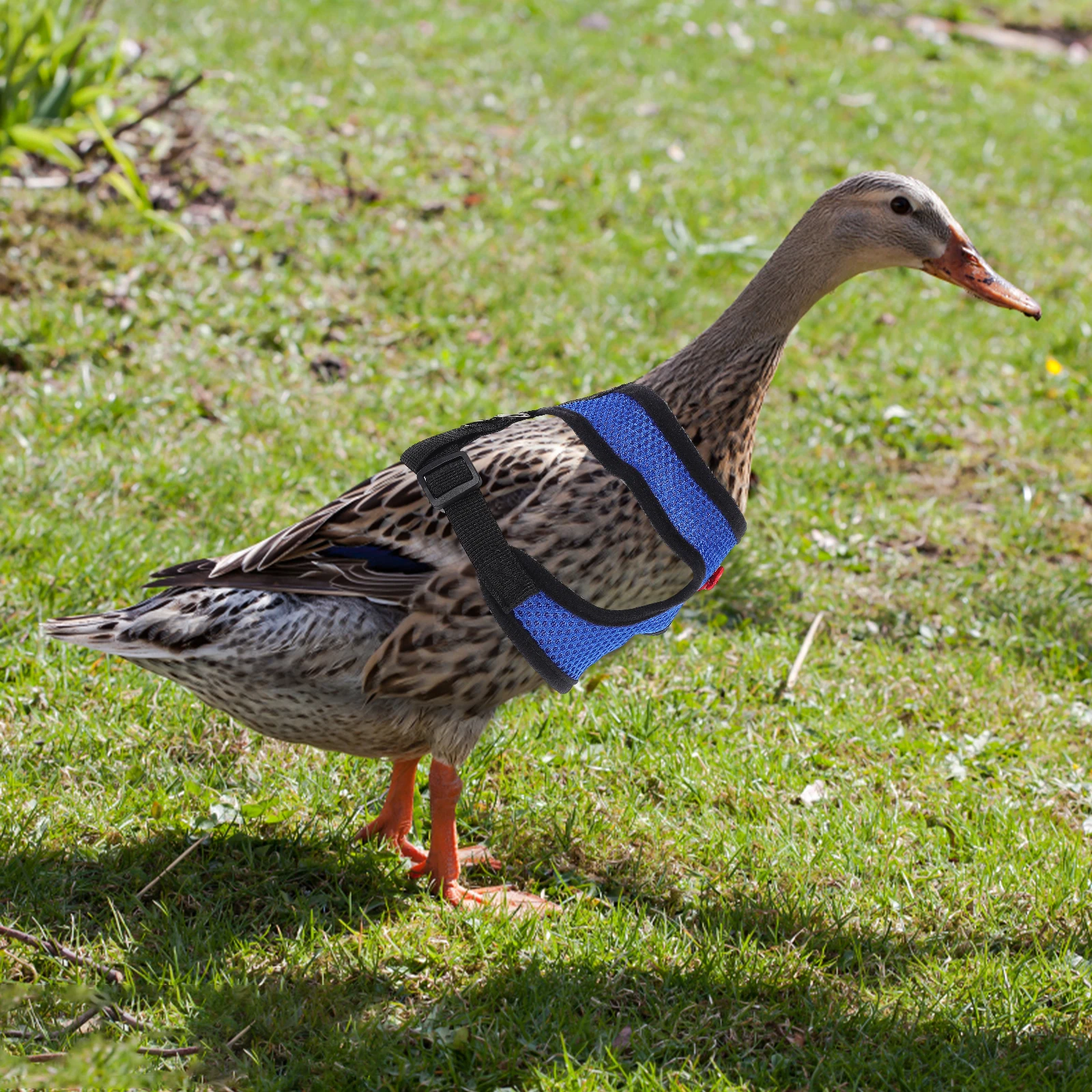 

Chicken Walking Leash Duck Breathable Vest Geese Small Pets Durable Harness Outdoor Use Pet Walking Leash
