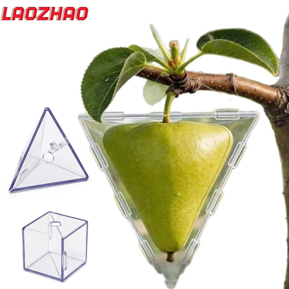 1PC Reusable Transparent Fruit Shaping Mold, Cube & Triangle Plant Shaper for Tomato Cucumber Pumpkin, Ideal Home Gardening Gift