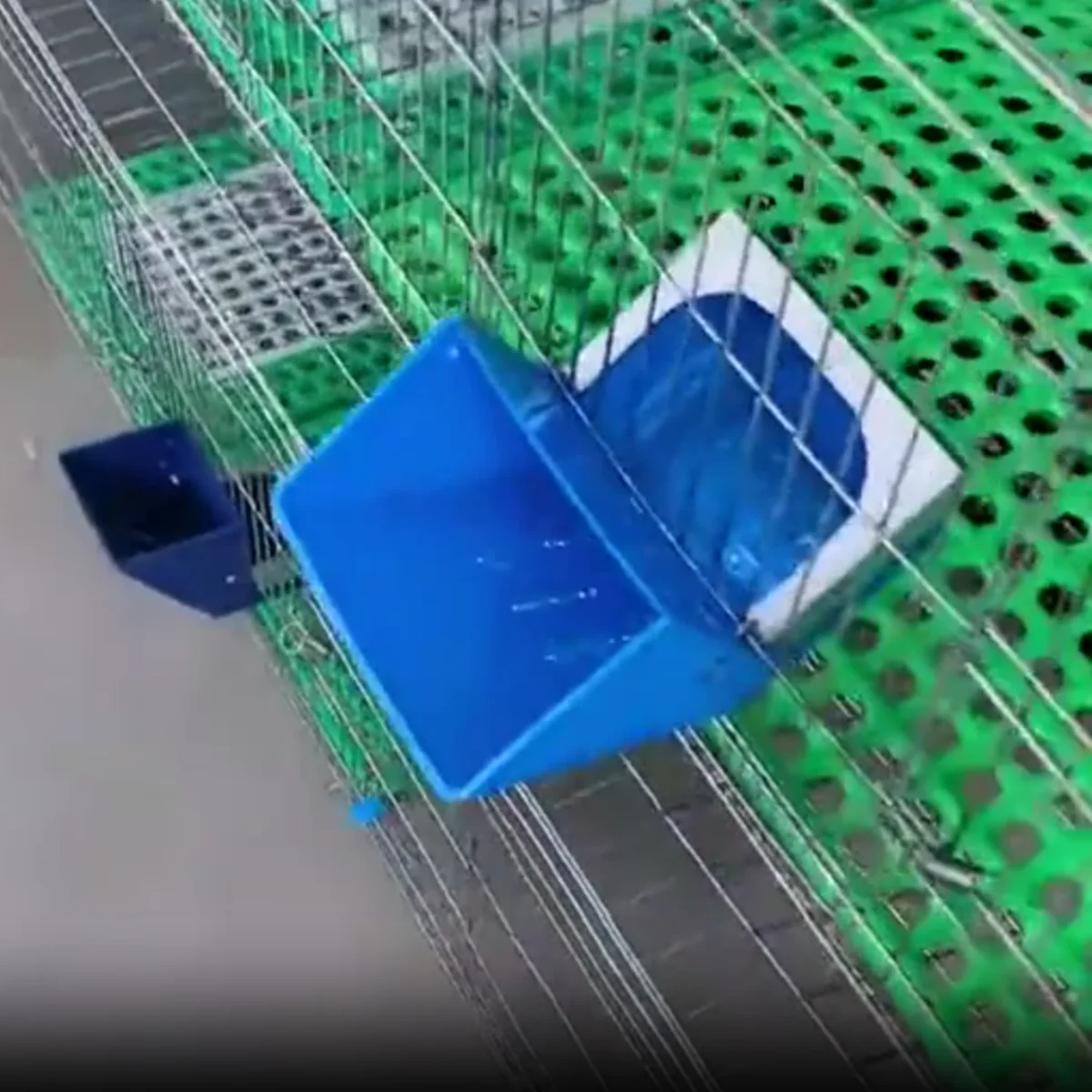 Blue Rabbit Feed Box Hopper Rabbit Cage Hanging Feed Trough Hamster Bunny Guinea Pig Eating Drinking Bowl Livestock Supplies 1Pc view 6