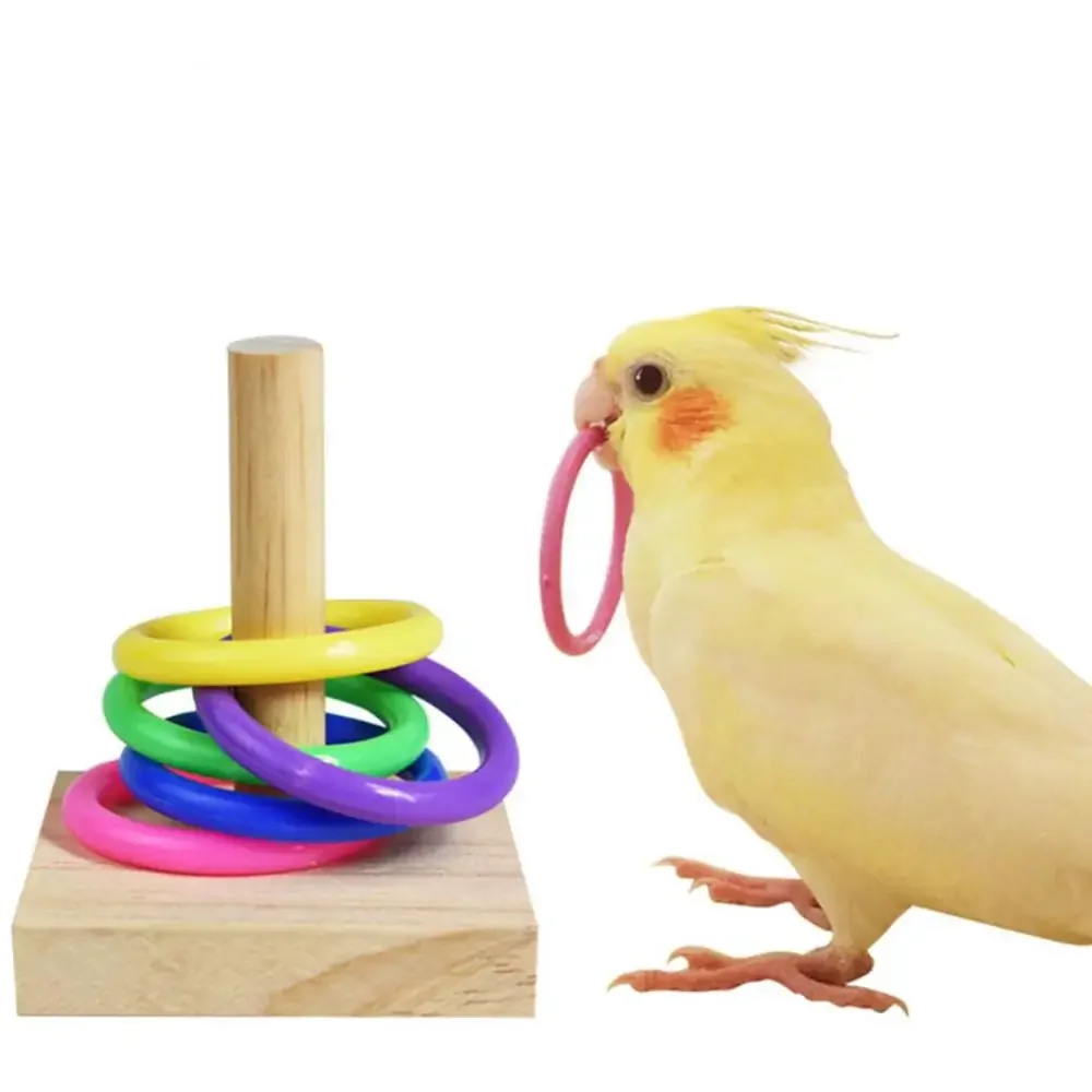 

Stacking Toy with color ring for training and training of bird and parrots, which is very good for training