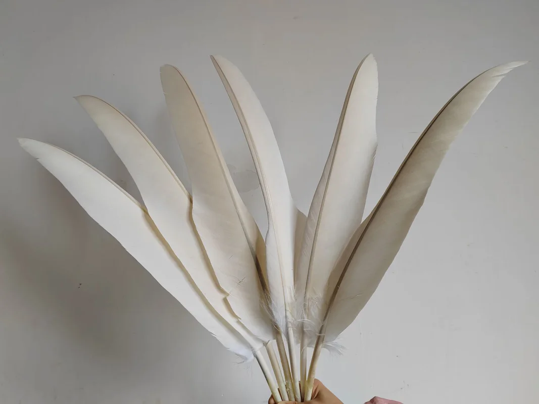 

6Pieces 55-60cm Nature Rare White Eagle Quill Feathers Celebration Specimens Decorated Feathers for Stage, Mask,Costumes