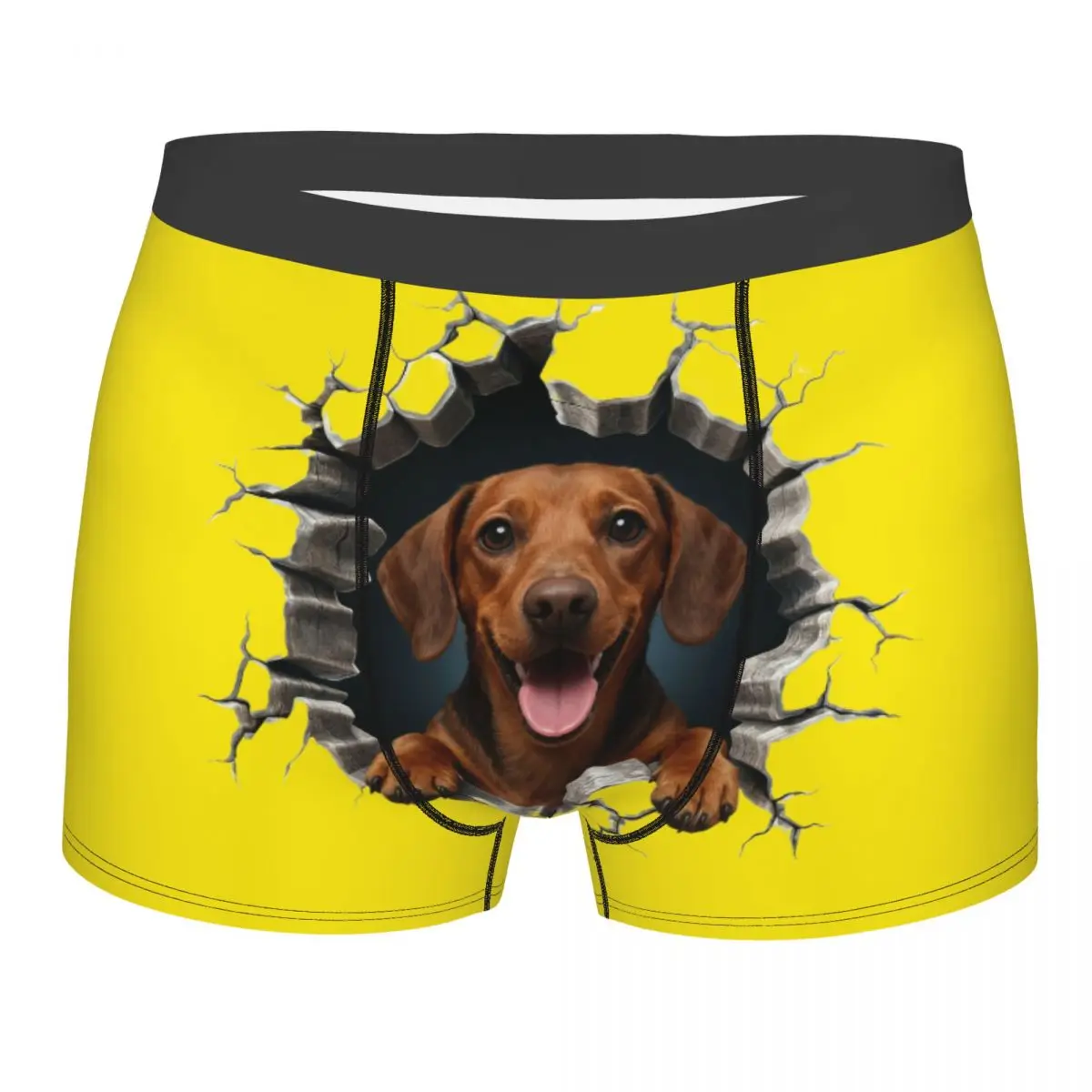 

Шорты-боксеры для собак с таксой, подарок на годовщину для парня, нижнее белье с 3D принтом, трусы, эластичные трусы