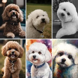 DIY 5D Diamond Painting Kits, Home Wall Decoration,For Relaxation, Bichon Frise White Dog Animal, Birthday Gifts for Adults Kids