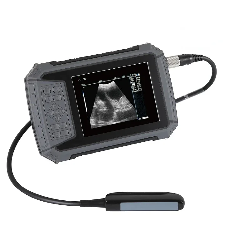 

medical Wholesale 5.7 inch high resolution display handheld veterinary ultrasound scanner portable veterinary ultrasound