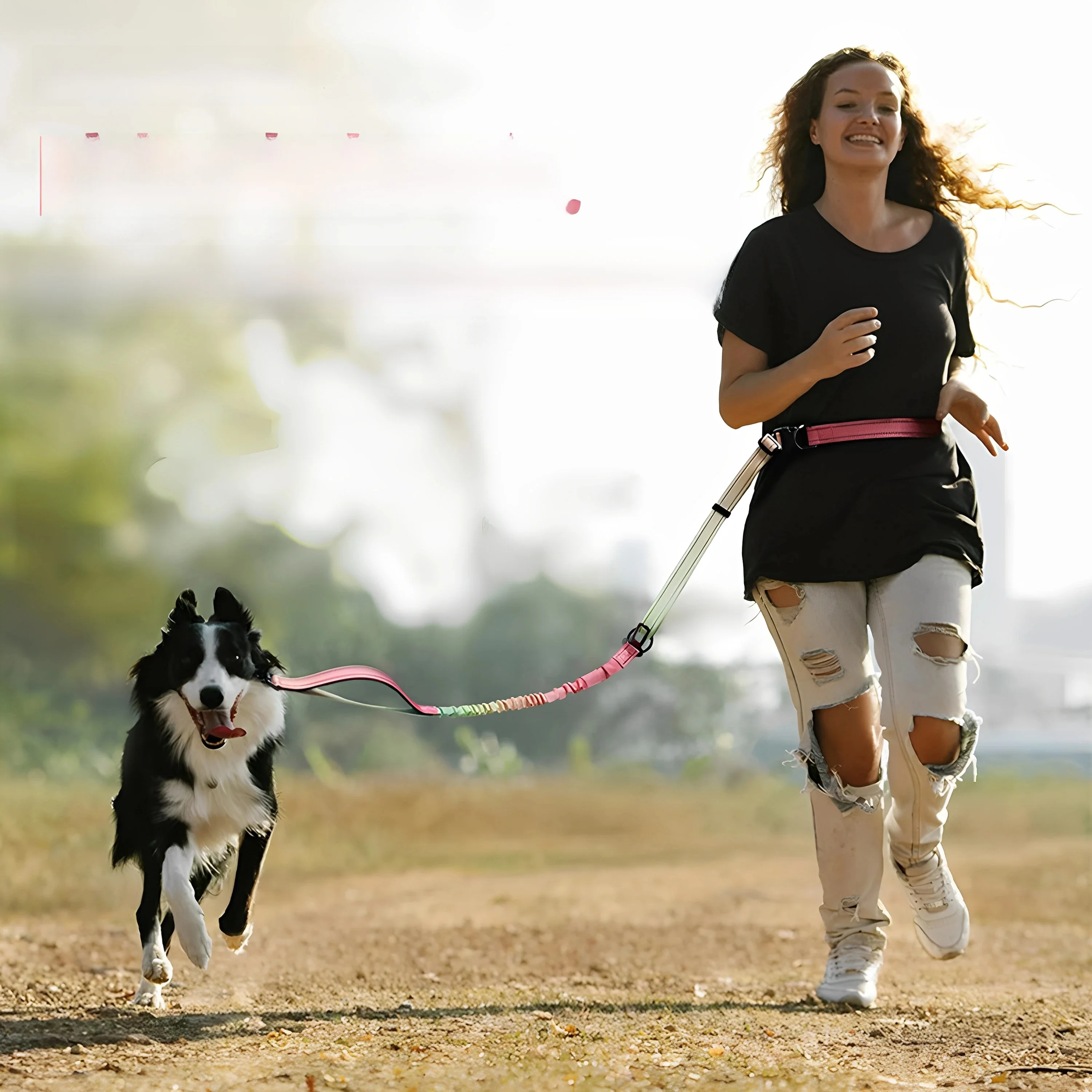 Multi-Functional Dog Leash Elastic Buffer Traction Rope Large Medium Dogs French Bulldog Border Collie Golden Retriever Pitbull