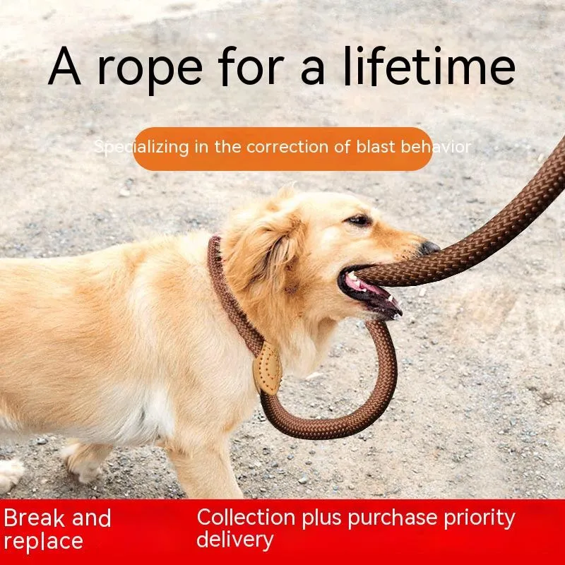 

Dog Leash Nylon Pet Lead Leash Adjustable Dog Harness Durable Rope Belt Lightweight Dog Supplies Walking Training accessories