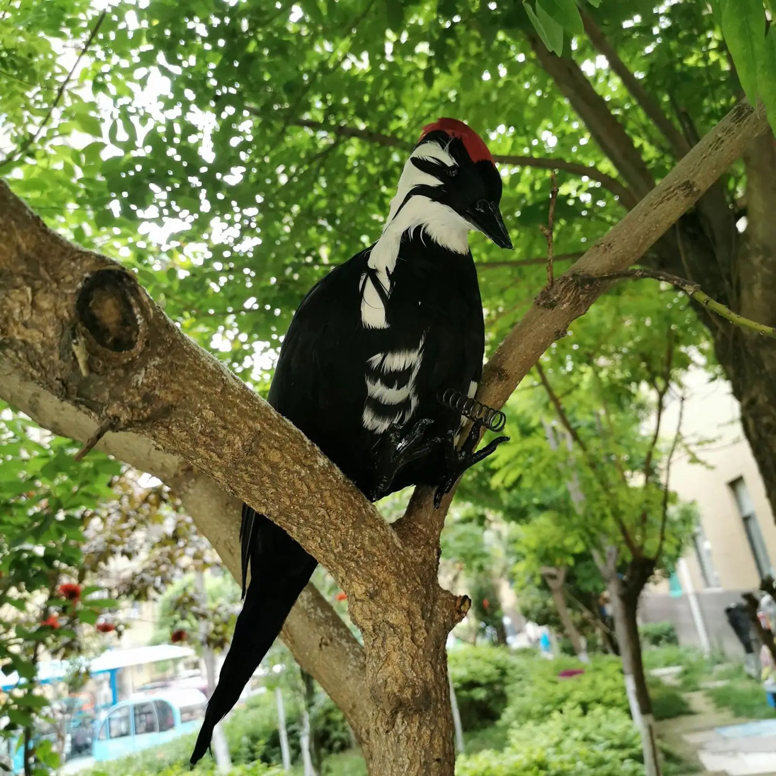 Simulation Woodpecker Handcrafted Spring Bird Statue for Home Decor Ornament