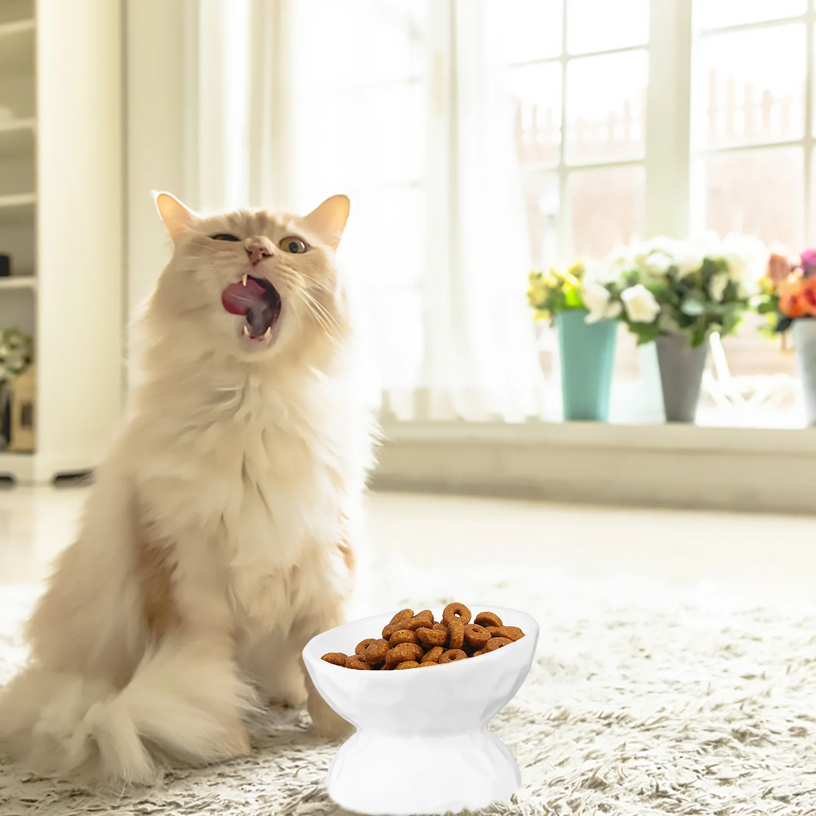 

Small Ceramic Elevated Neck Protection Cat Bowl Tilted Pet Feeder Anti Spill Pet Food Bowl for Cats Cat Food Feeder