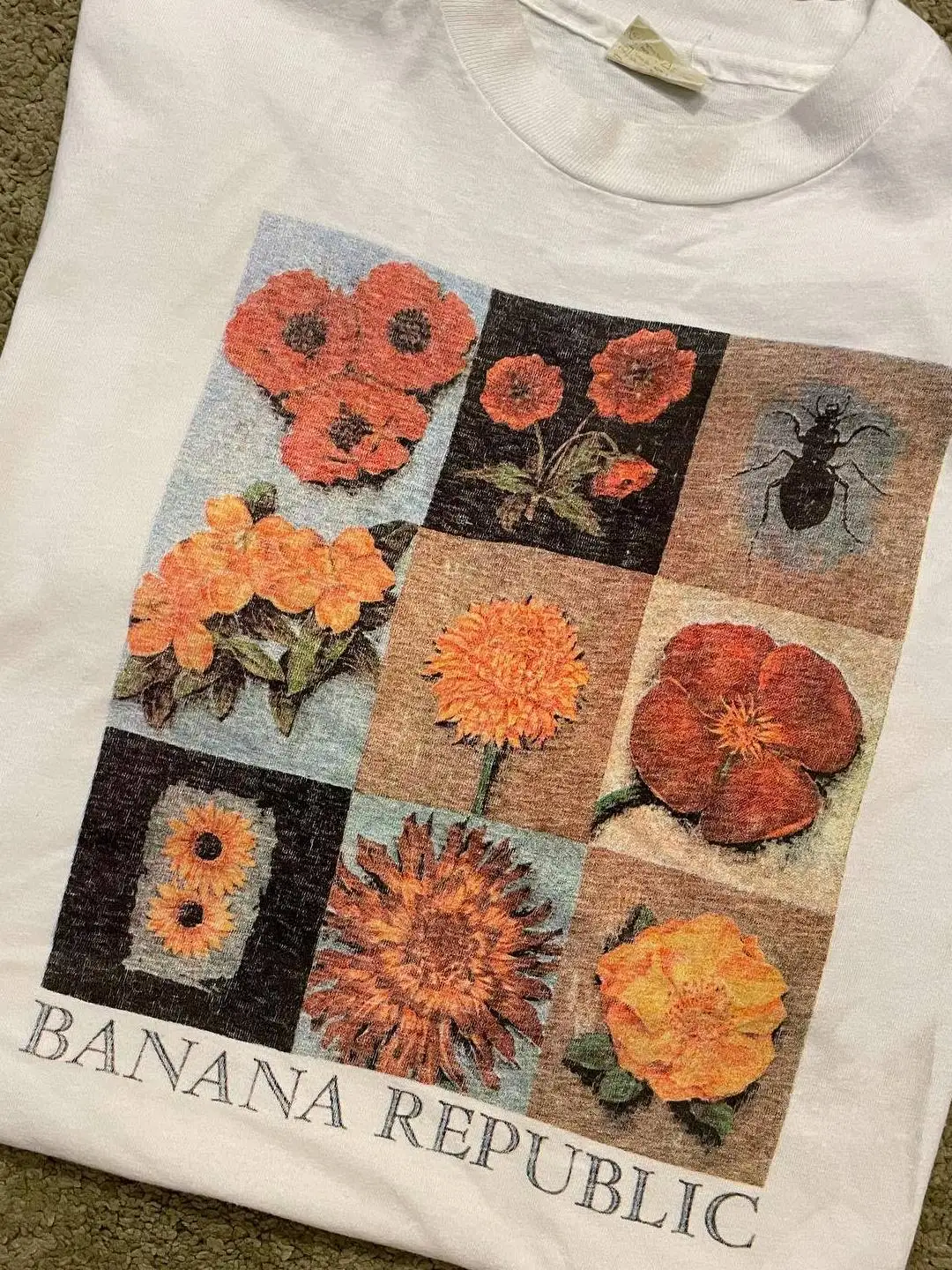 Artistic Floral Insect Theme T-Shirt Summer  Plant Guide Lazy Style Short Sleeve Breathable Cotton round Neck Men's T-Shirt