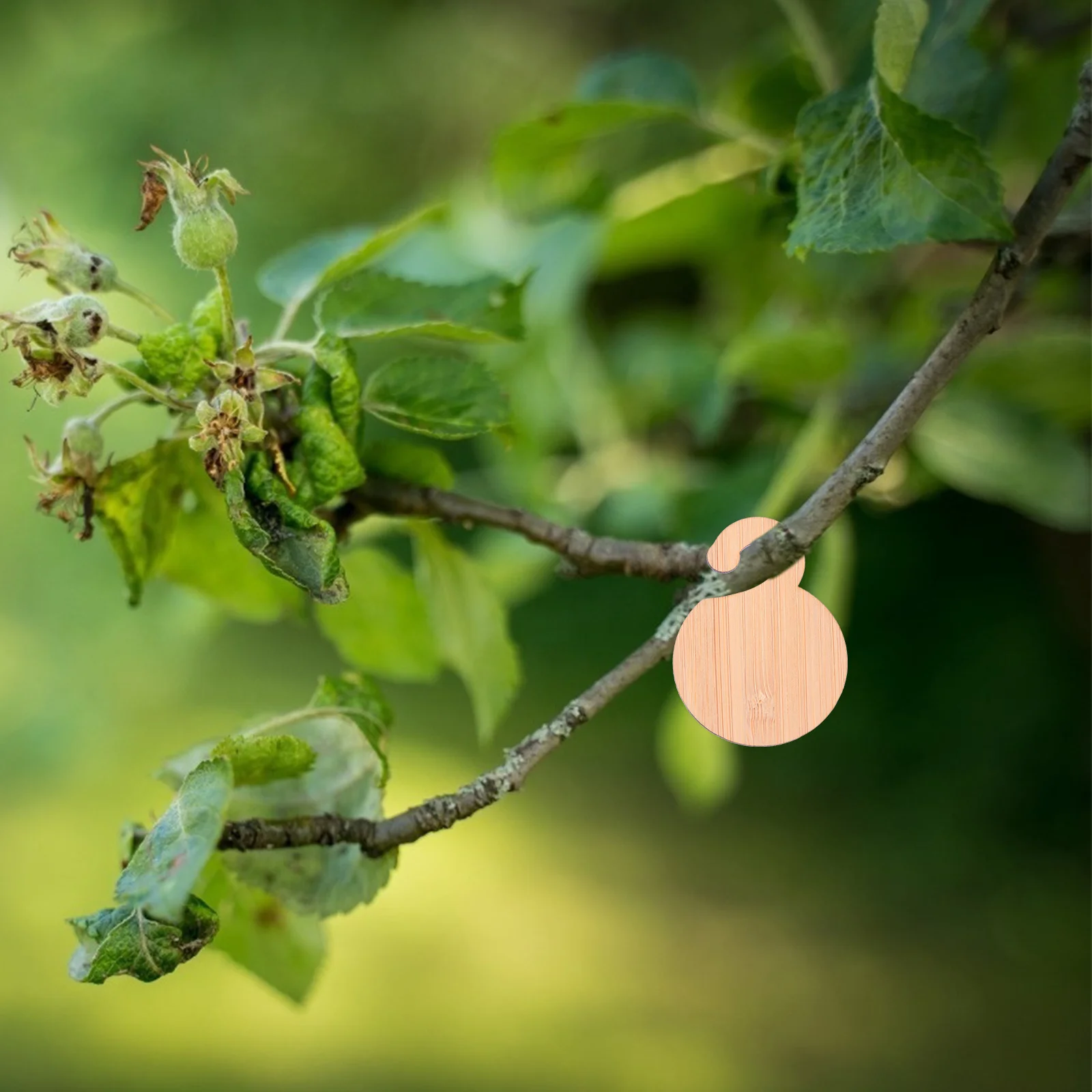 

20Pcs Bamboo Plant Markers Hanging Garden Labels Reusable Durable Plant Tags Gardening Tree Signs Gardening Label