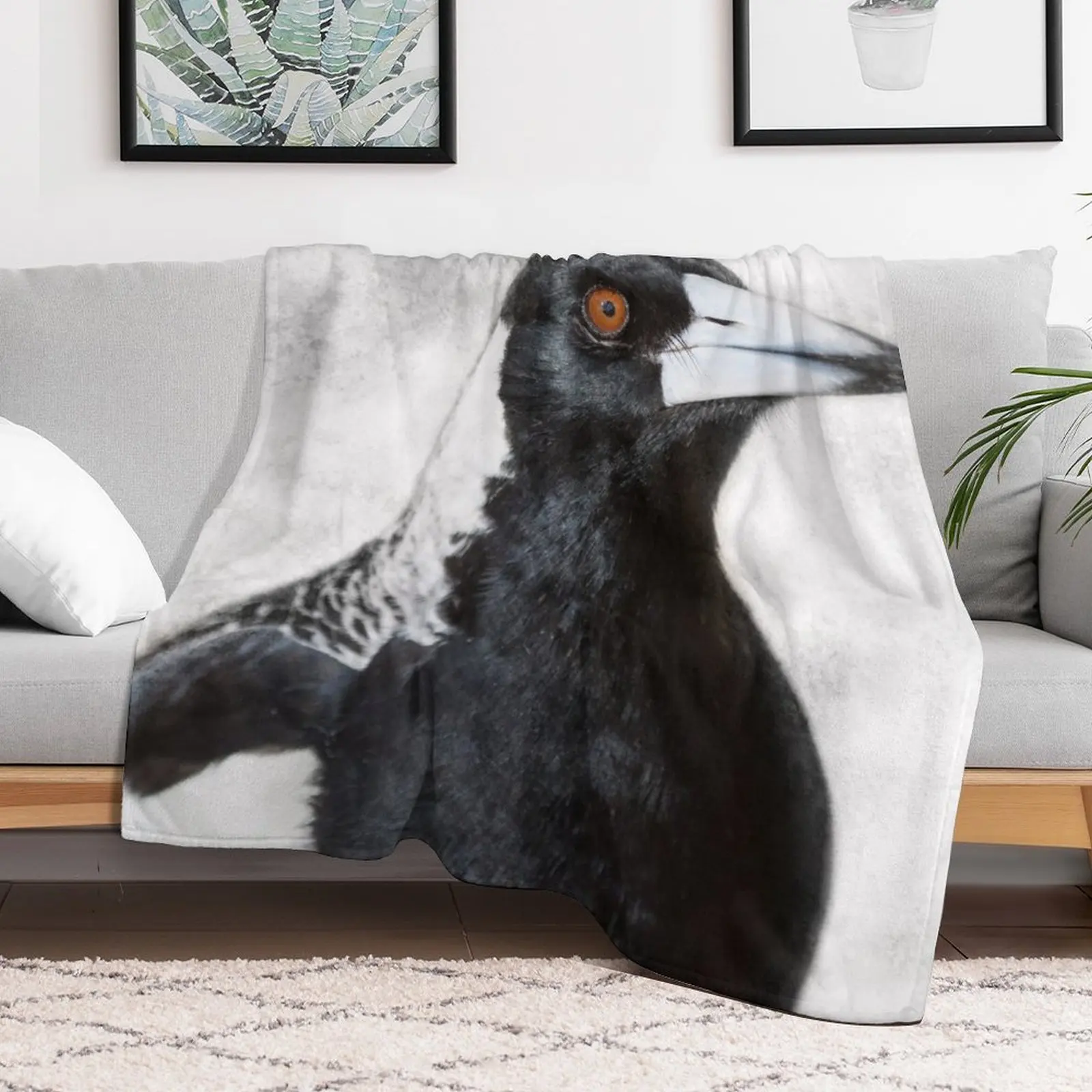 Australian Magpie by Christine Chester Throw Blanket Beautifuls Flannels Blankets