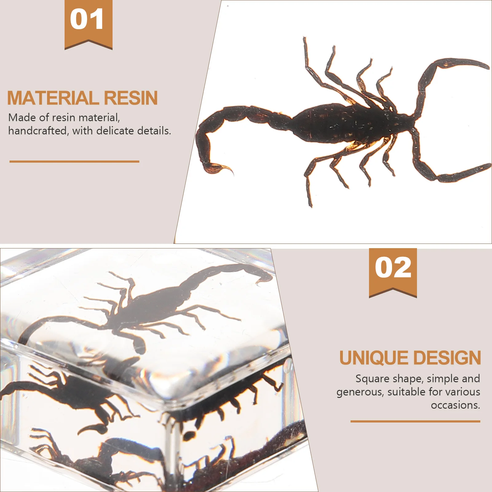 

2Pcs Resin Insect Specimen Desktop Paperweight Square Resin Ornament Bookend Table Decoration Insect Paperweight