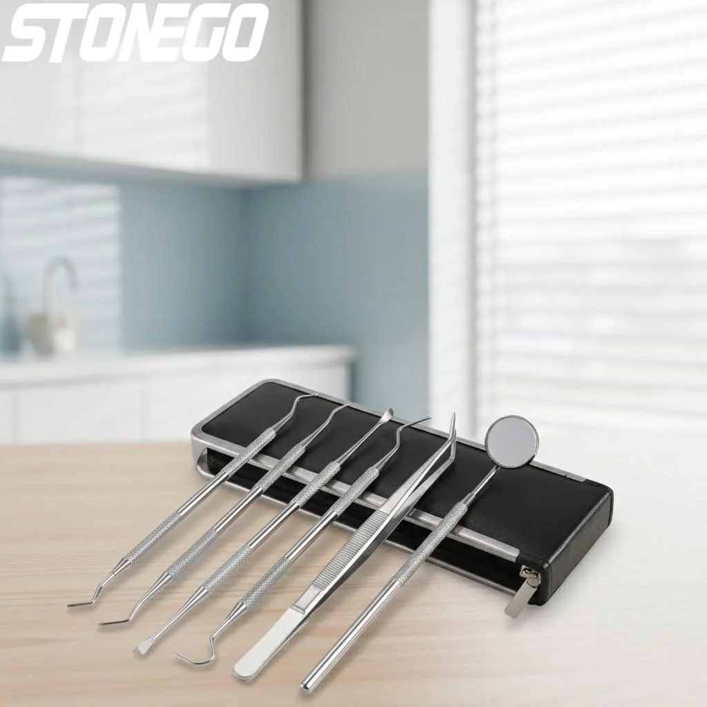 conjunto-profissional-de-higiene-oral-para-remocao-de-placa-e-tartaro-dental-com-6-pecas-palito-de-dente-para-cuidados-dentarios