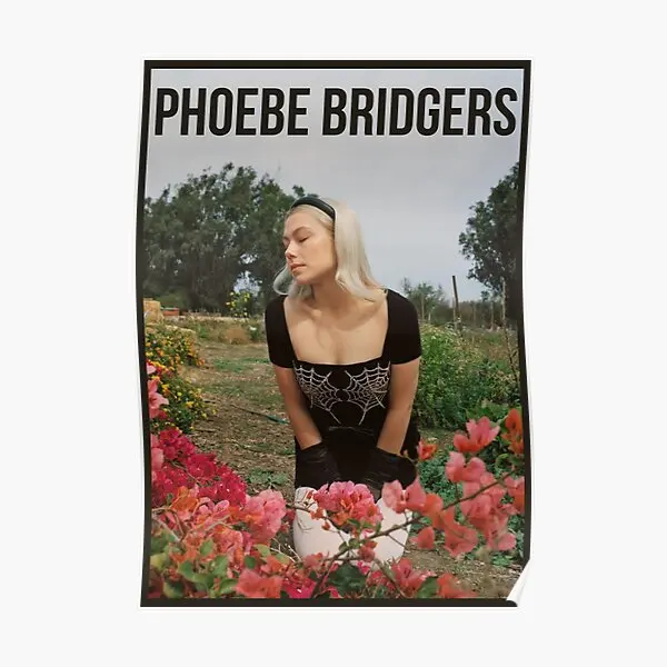 Phoebe Bridgers Poster Design  Poster Print Modern Painting Mural Funny Room Picture Vintage Decoration Decor Wall Home No Frame