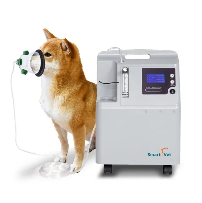 Smart F Vet Veterinary me dical de vices 10L oxy gen Concentrator for Pet Vet Clinic