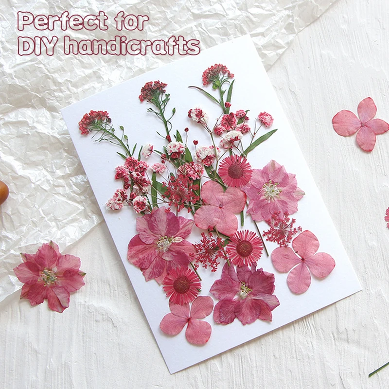 Real Pressed Dried Flower Dry Plant Stickers for DIY Phone Case Epoxy Resin Filling Pendant Jewelry Making Craft DIY Accessories