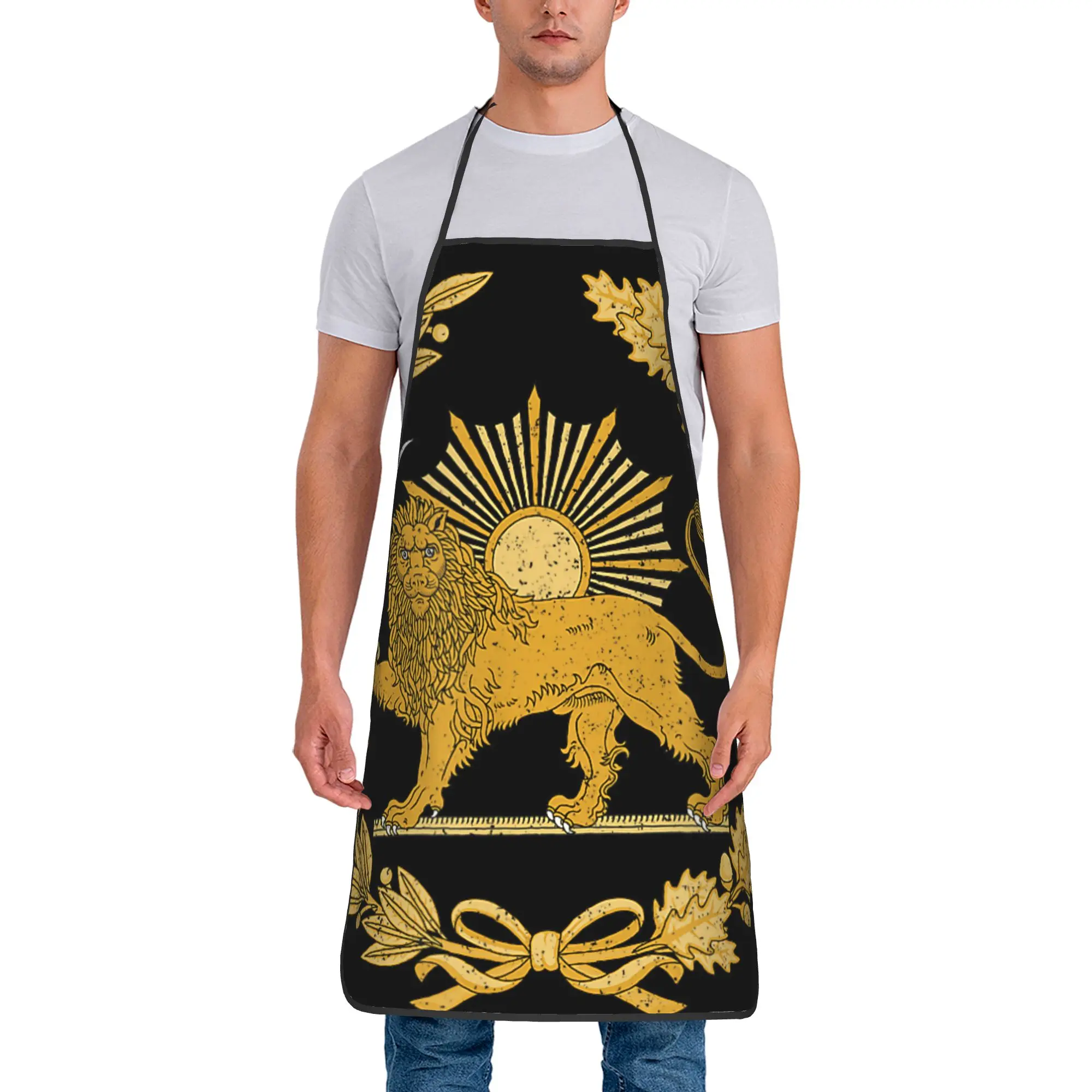 Iran Persia Apron  Barber Restraunt Kitchen Accessories Cooking Fashionable Aprons without Pocket