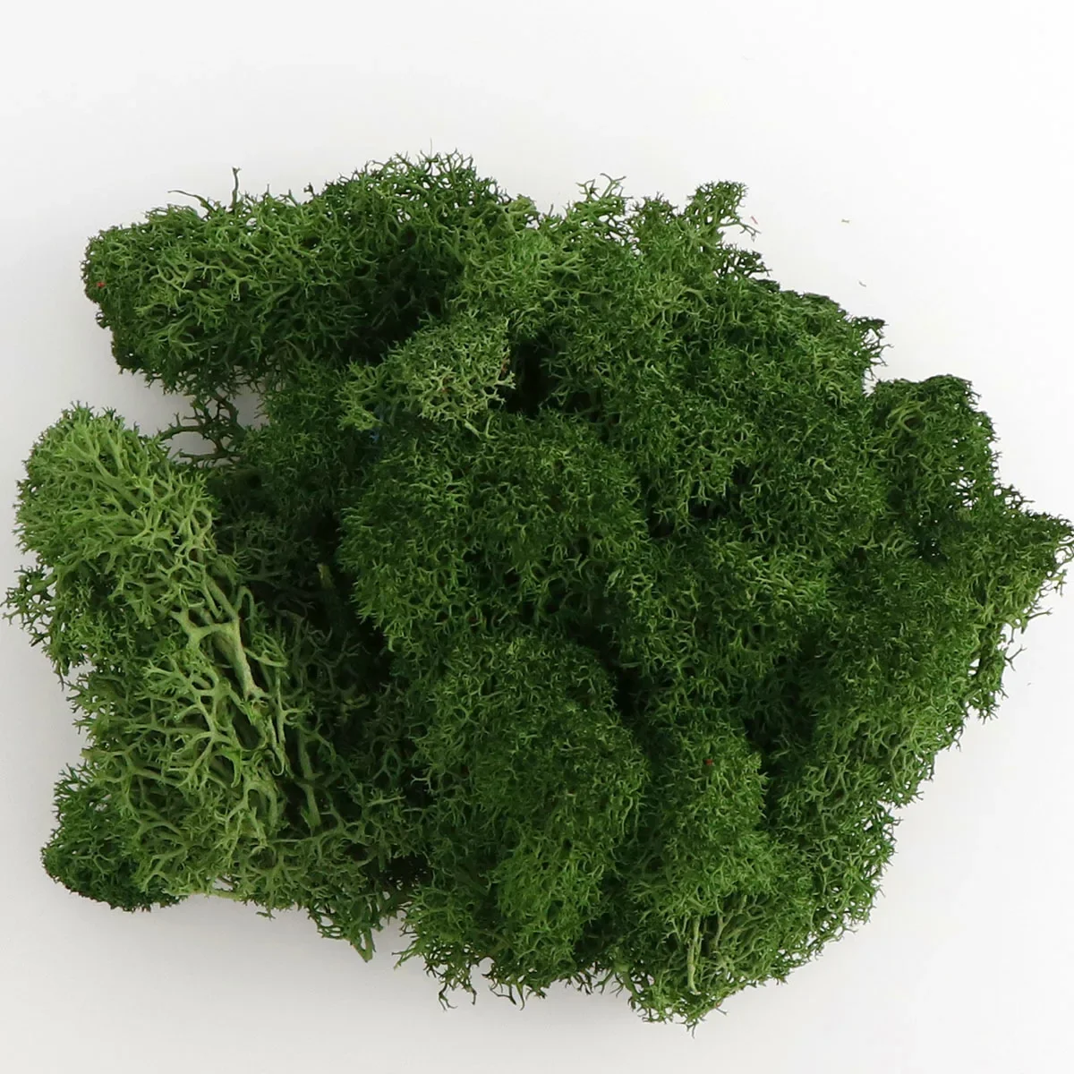 20g Artificial Plants Fake Grass Eternal Life Moss Home Garden Decor Fake Plants Miniature Landscape DIY Crafts No Maintenance