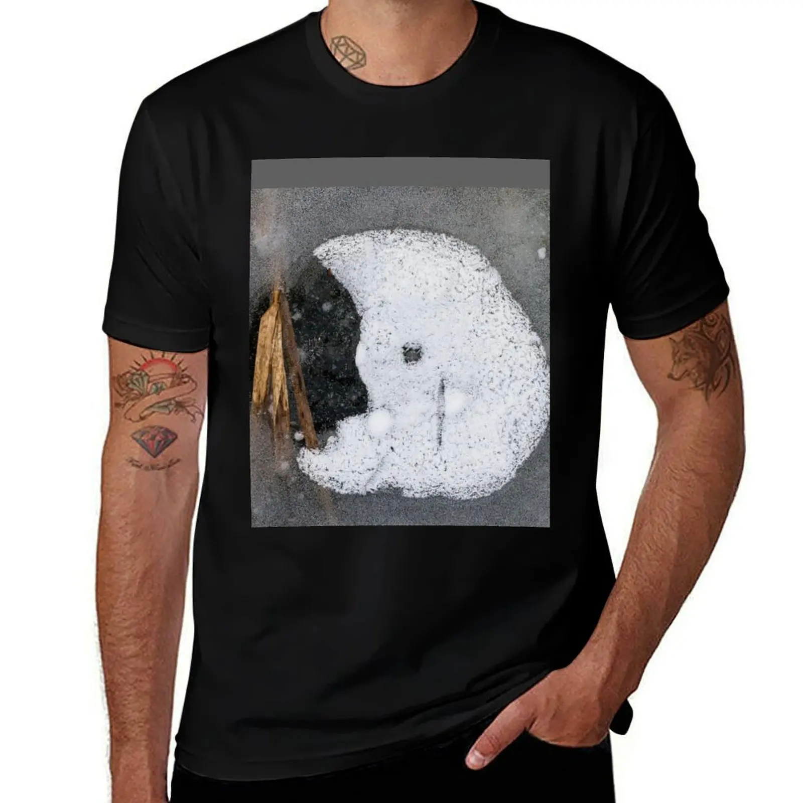 

Face in the Ice T-Shirt t shirt men 100% cotton luxury brand anime t shirts for man