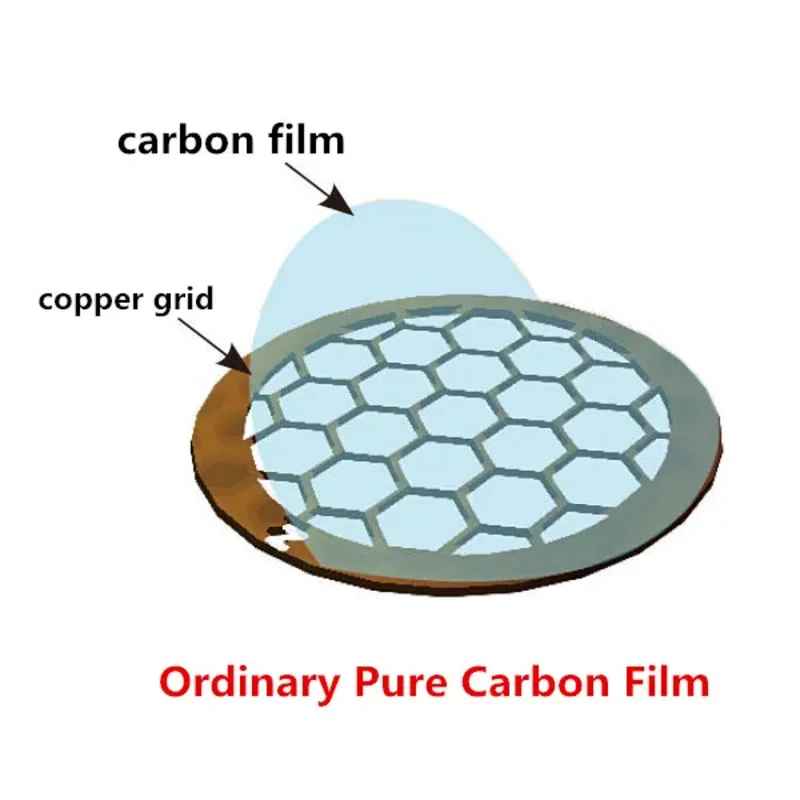 300-400 Made In China Copper Mesh Ordinary Carbon Film TEM Organic Solvent Tolerant Lipase