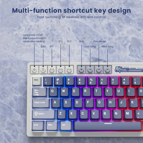 Imagen 2 del producto Teclado Gamer con pantalla de batería RK ROYAL KLUDGE M65, 66 teclas, junta multifuncional PBT, Teclado mecánico inalámbrico RGB de tres modos