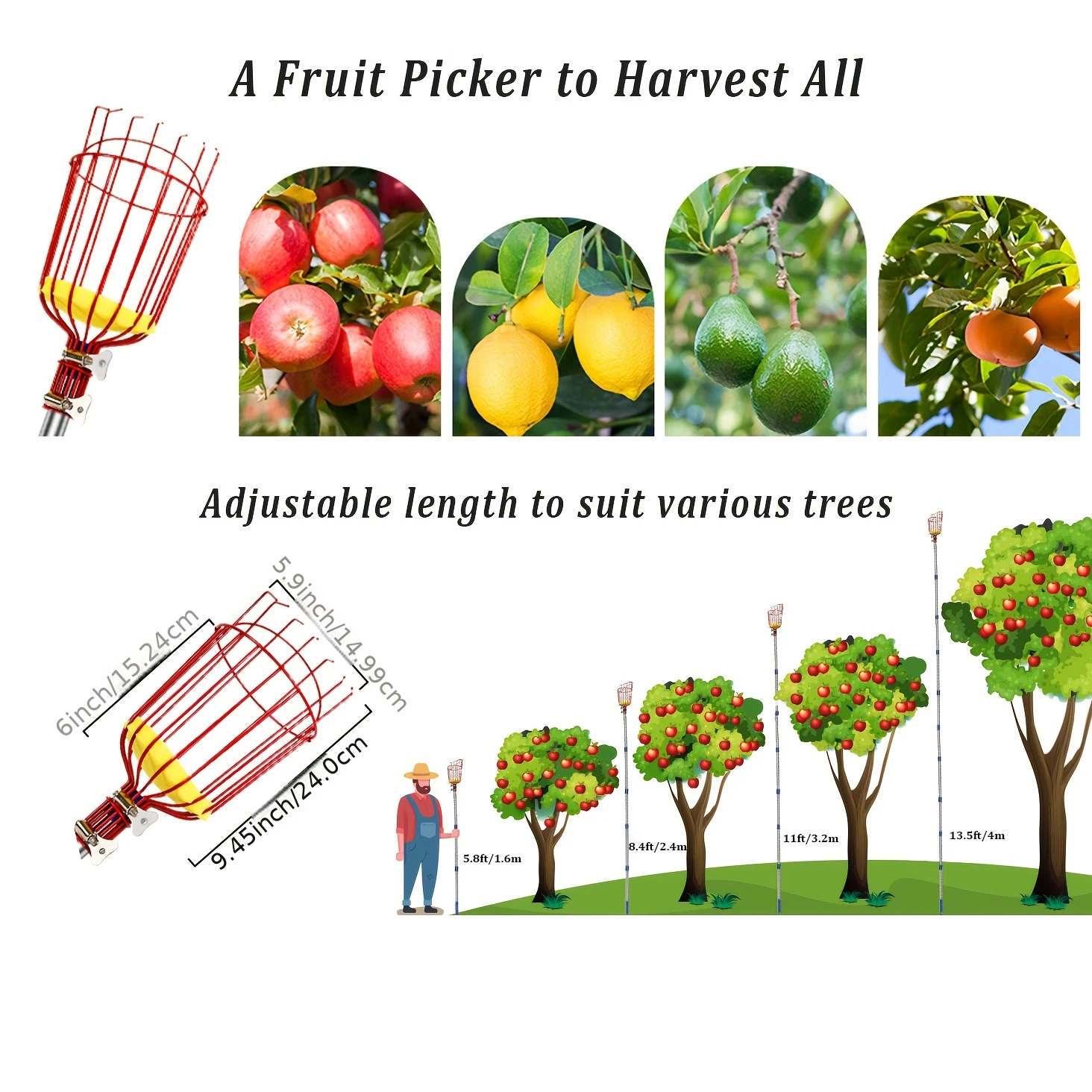 Käfigförmiger Obstpflücker aus Edelstahl, verstellbarer Obstpflückerstab 1,6m-4m, Pflückwerkzeug für Äpfel, Orangen, Avocados – Detail 5