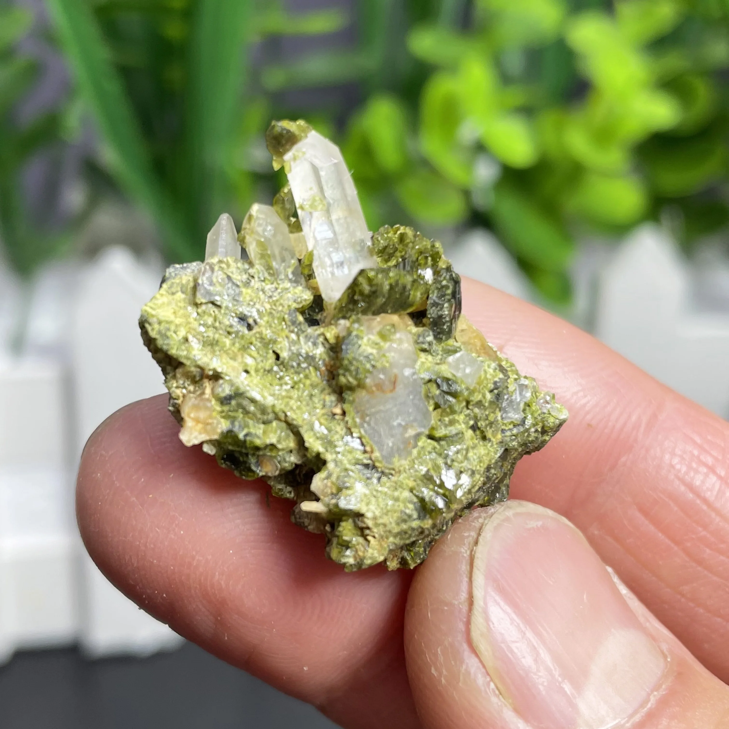 

Natural Green Epidote Crystal Symbiosis Clear Quartz Rough Specimen Rock Healing Stone Floating Growth Home Decor