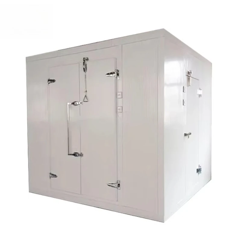 Customized Professional Walk-in Freezer Cold Storage Room Refrigeration Equipment For Salmon Seafood Frozen