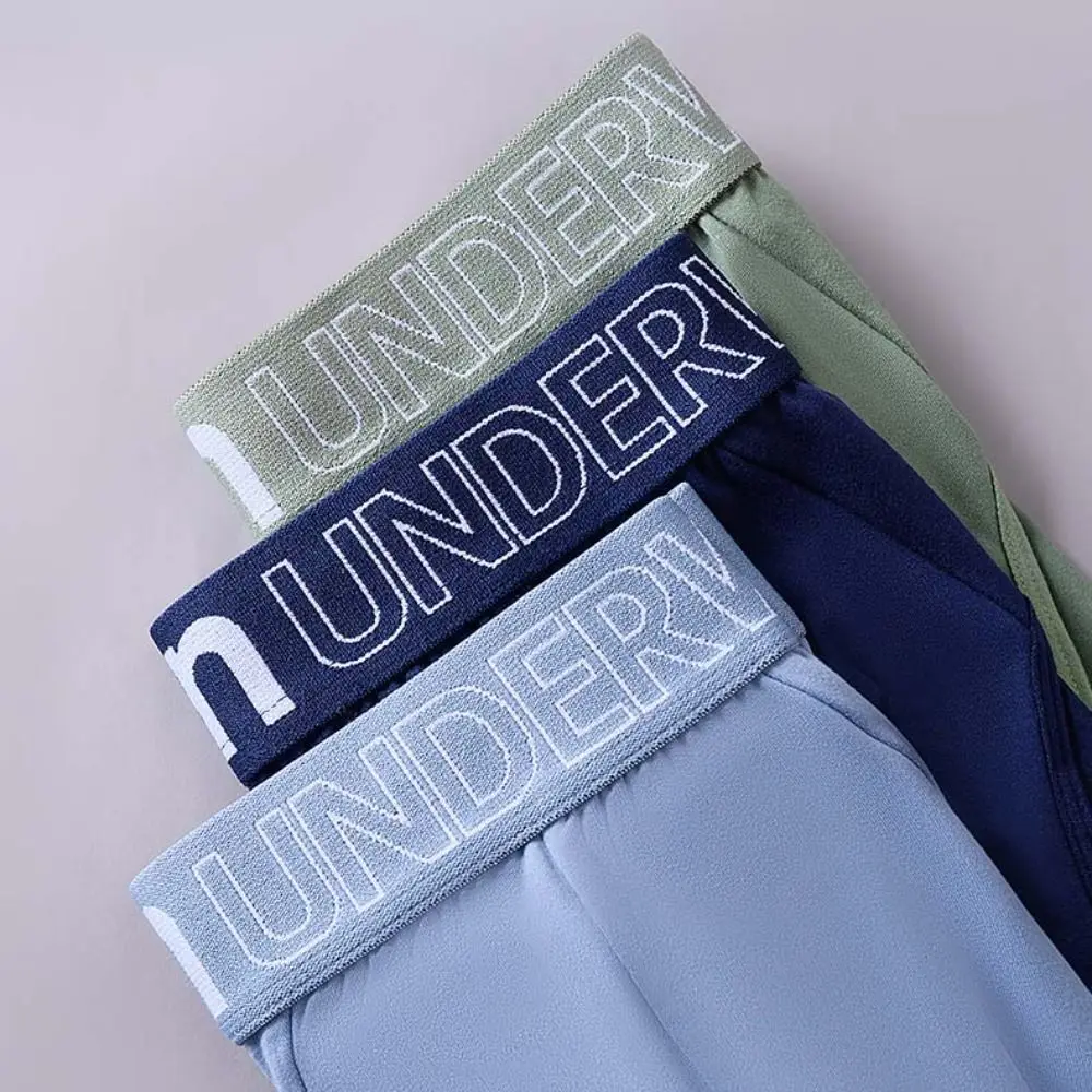 

5PCS Simple Low Waist Men Thin Panties Male Lingerie Elastic Men's Underwear Briefs Letter Underpants Gifts